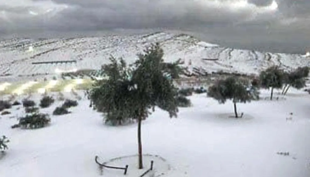 شاليهات ميناء العرب Ras al-Khaimah 0*,